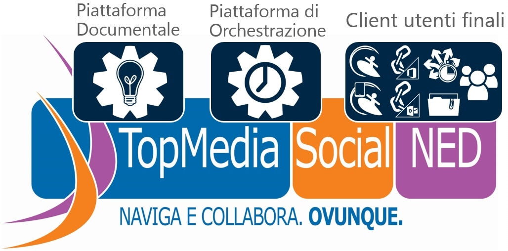 Top Media Social NED